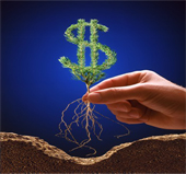  Сайт Системы безопасности